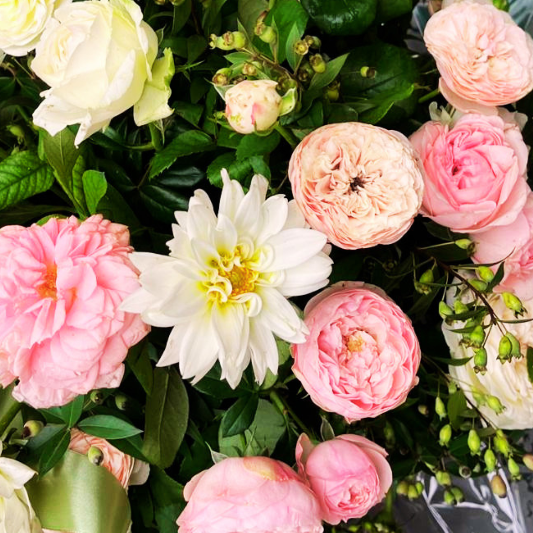 Basket with colorful Primroses