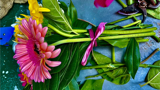 Fiori E Piante Per La Casa, Quali Scegliere E Come?