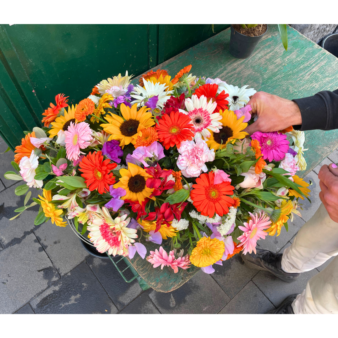 Cuscino Rainbow Memory - fiori di campo