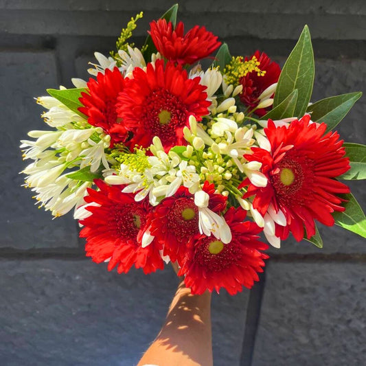 Bouquet con agapanthus bianco e gerbere rosse