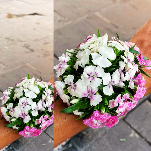 Bracciale di garofani dei poeti freschi rosa e bianco