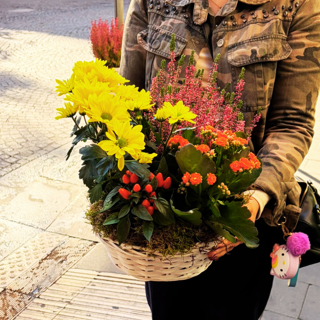 Korb mit bunten Primeln