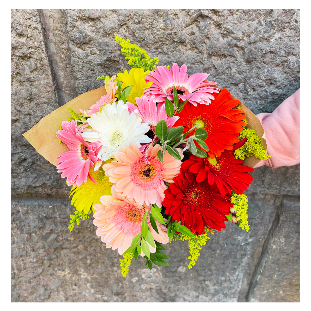 Bouquet di gerbere colorate