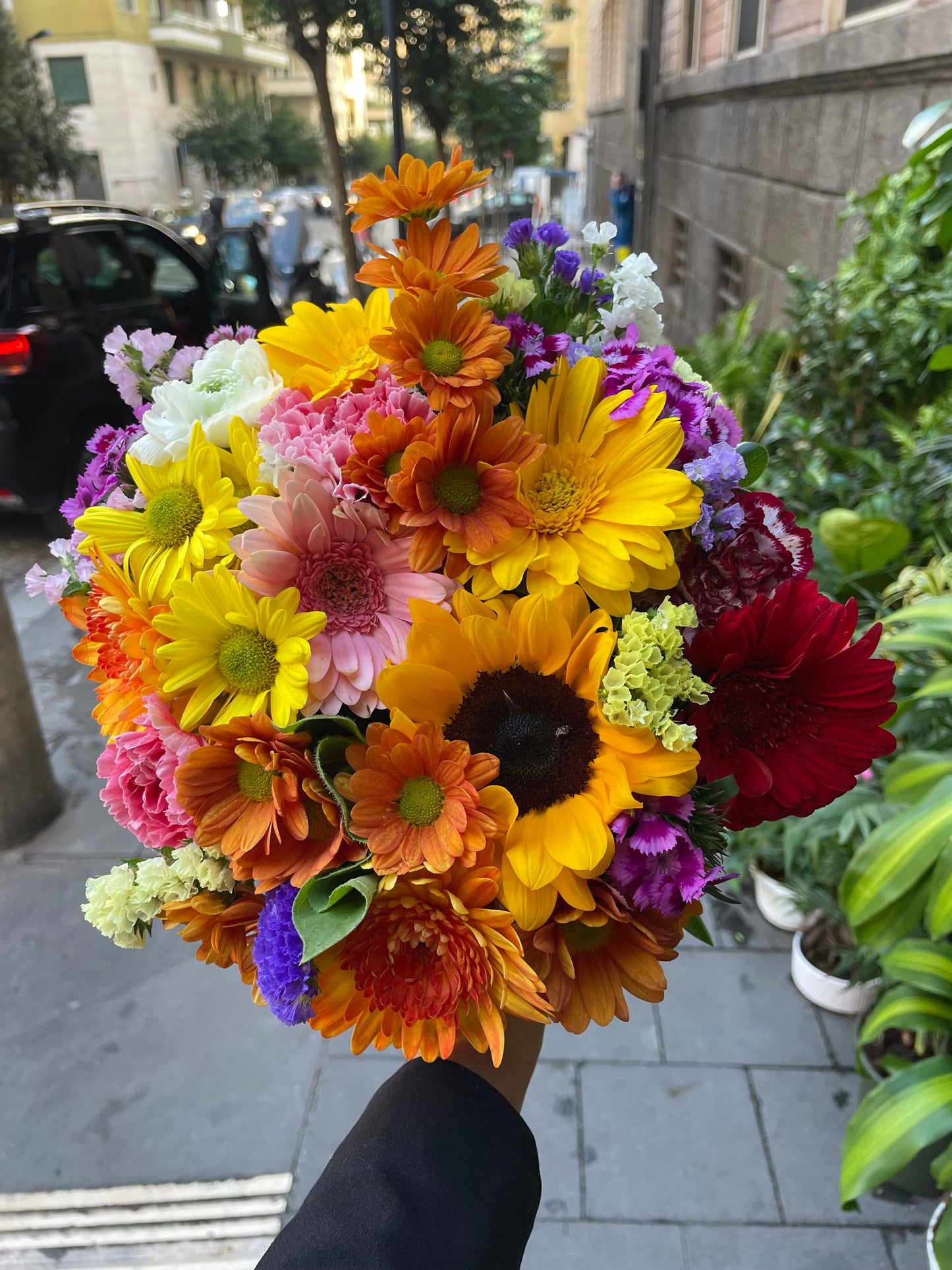 Bouquet gigante di gerbere colorate